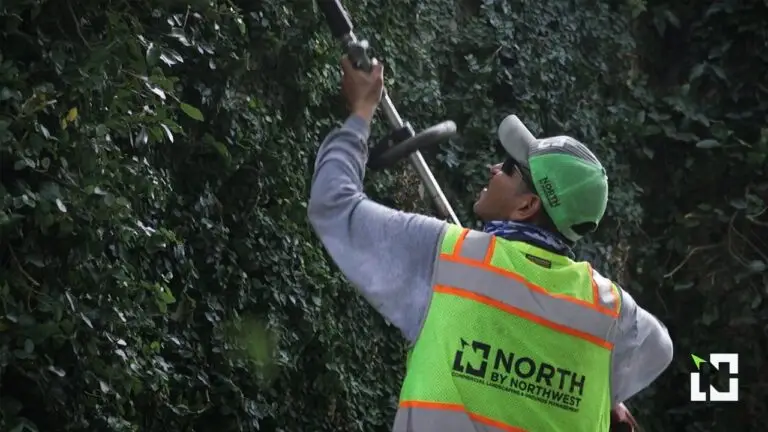 Brand Film Cover - NXNW Landscaping - Man trims hedge