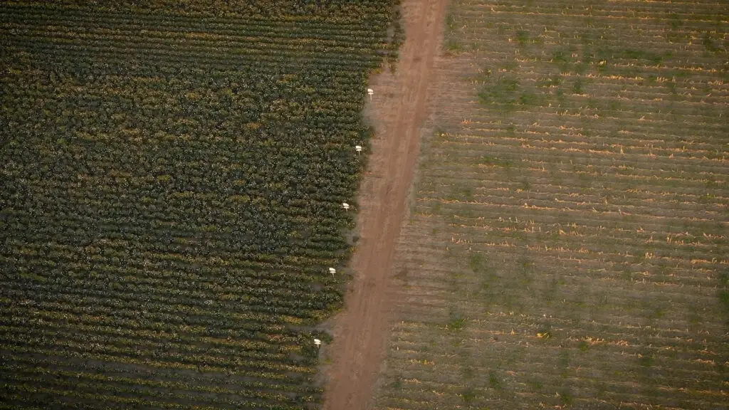 cotton-grower-video-testimonial-video_0001_Layer 15