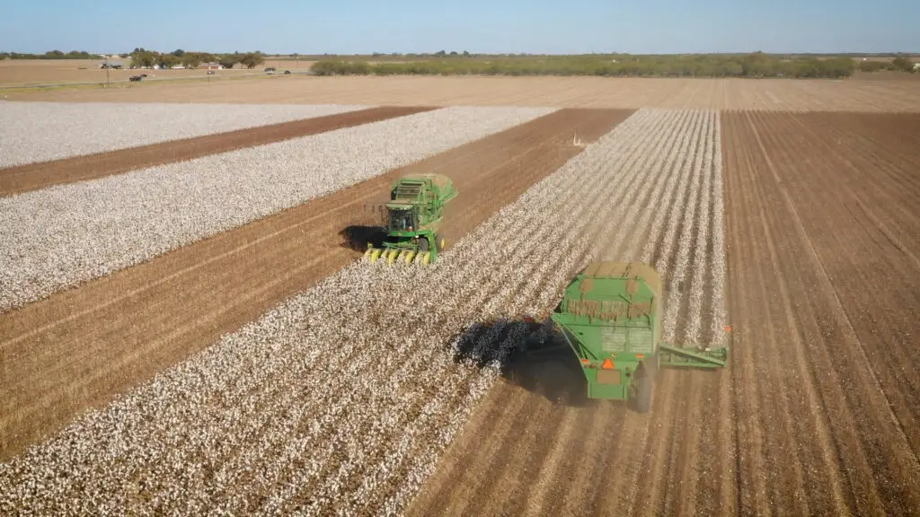 cotton-grower-video-testimonial-video_0003_Layer 13