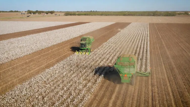 cotton-grower-video-testimonial-video_0003_Layer 13