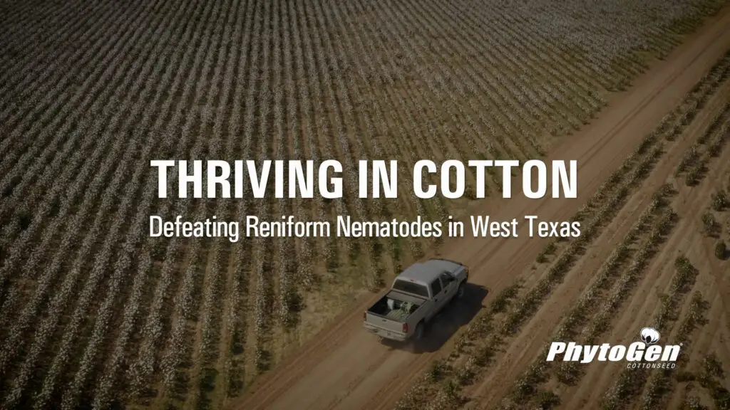 phyto-cotton-west-texas-_0010_Layer 2